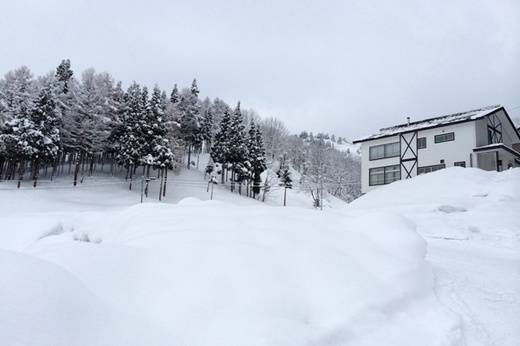 Mt.GRANVIEW_8｜2014.2.24-BAJA SNOWBOARD TOUR 2014-1.jpg
